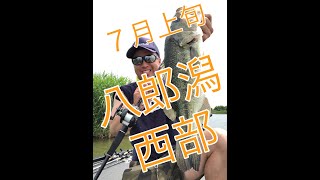 7月の八郎潟西部で打撃フィッシュ！！