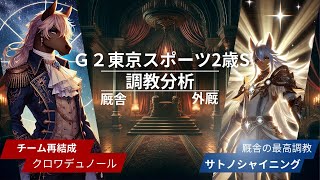 G2東京スポーツ杯2歳 買いたい要素満載のサトノシャイニング  最強タッグが再び？クロワデュノール 減点要素が少ないニシノイストワール 有力どころの判定が難しい調教内容【調教×厩舎×外厩全頭分析】