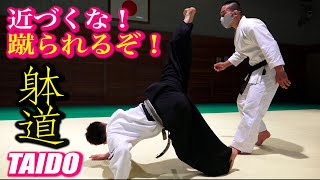 Stay away from him! Invisible Kick attacks you!【TAIDO】With various subtitles.