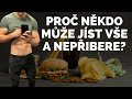 PROČ NĚKDO MŮŽE JÍST SPOUSTU JÍDLA A NEPŘIBERE?