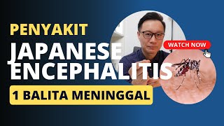 1 BALITA MENINGGAL AKIBAT TERINFEKSI JAPANESE ENCEPHALITIS