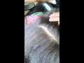 Getting rid of Dandruff! !!! Getting rid of Dandruff! !!!