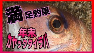 STARTのネクタイ仕様のタイラバで好釣果！冬のカヤックフィッシングを楽しんできたよ！【和歌山県中紀沖】