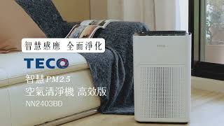 TECO東元家電 智慧PM2.5空氣清淨機(高效版) NN2403BD