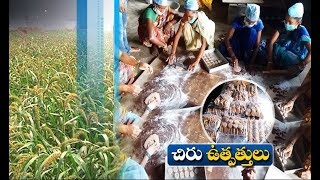 Jaikisan AP | 27th Sep'19 | చిరుధాన్యాల ఉపఉత్పత్తులతో స్వయం ఉపాధి