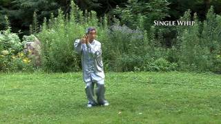 Volume 53 - Yang Banhou Style Taijiquan - Part 1