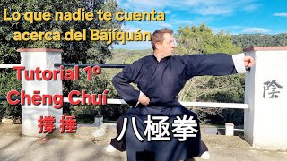 LOS SECRETOS DEL ANTIGUO BAJIQUAN #bajiquan #kungfutradicional #wushukungfu