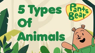 Animal classification for Kids |  Mammals, Birds, Reptiles, Amphibians & Fish | Animal Groups