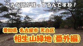 【散歩】名古屋市 天白区 相生山緑地 (番外編)