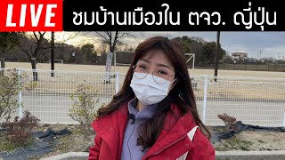 🔴Live สด พาชมบ้านเมืองคนญี่ปุ่น ซากุระแถวบ้านบานหรือยัง