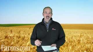 Farms.com Wheat Report: How Farmers Will Get Better Wheat Varieties With UPOV 91.