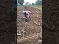 vivasayam matrum thotta payeer farming shortsvideo agriculture vivasayam tamil