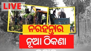 LIVE I Elephant Shifted | ମାଈ ହାତୀର ନୂଆ ଠିକଣା ହେବ ଢେଙ୍କାନାଳ ହାତୀ ଉଦ୍ଧାର କେନ୍ଦ୍ର | Odia News