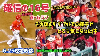 大谷選手 特大爆音爆速 16号 ホームラン ダグアウトに帰ってからの様子が気になった  大谷翔平 Shohei Ohtani  Angels