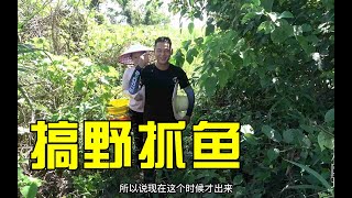 农村夫妻深潭收鱼笼抓鱼，这收获夫妻俩要抬着回去，爽【农村阿琪】