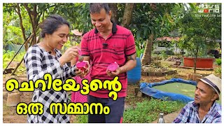 ചെറിയേട്ടന്റെ സമ്മാനം..../Meen curry /Village life /Village cooking /Agriculture/Krishi /Mathi Curry