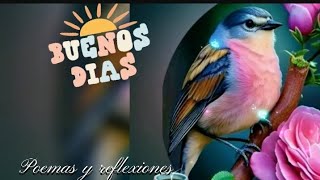 🌹Feliz Martes .☕Buenos días con mucha alegría. A levantarse Dormilones!!