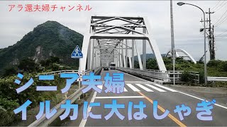 熊本(天草)でイルカウォッチングに歓声をあげました。何もかも忘れて、野生のイルカに没頭した時、旅を始めて本当に良かったと思えた。