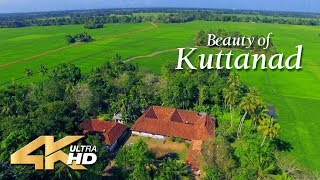 Beauty of Kuttanad - 4K Aerial view