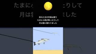 月明かりの影響はどれくらい釣果に関わる？