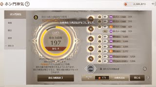 【ブレレボ】比武エンジョイ勢20241105【神気とか再練とか】