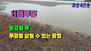 서해투망13편/대부도 사전답사 갔다가 투망 밑걸림 투망 회수방법은?[화성이반장]