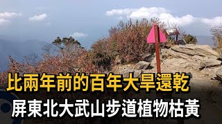 比兩年前的百年大旱還乾　屏東北大武山步道植物枯黃－民視新聞