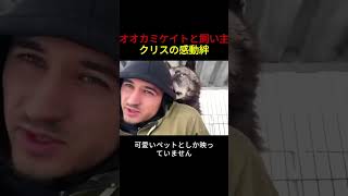 オオカミケイトと飼い主クリスの感動絆