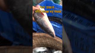 নদীর জীবন্ত মাছের আড়ত #shortsviral#মেঘনারমাছ #freshwaterfish #fishmarket (2)