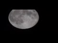 UFO Passing By The Supermoon!  Original and Inverted Version - 08/10/2014