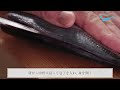 鯵（あじ）のさばき方 フライ用 背開き how to filet horse mackerel ver.sebiraki for deep‐fry 日本さばけるプロジェクト 海と日本プロジェクト