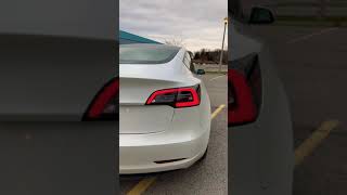 Tesla Model 3 Tail Lights