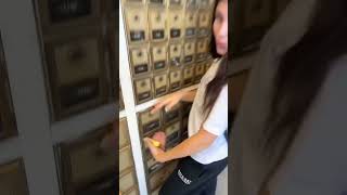 We Just Opened A Po Box Shorts