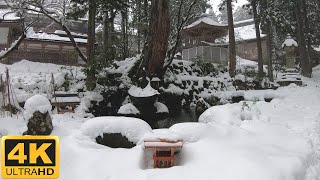 One hour snowfall Eiheiji Temple 永平寺 Japan 4K Relaxation sleep sounds