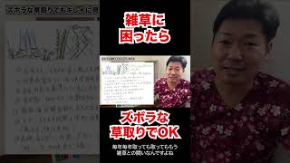 【頑張らない】草取りに困ったら対策はズボラでもOK【庭師が解説】 #Shorts