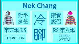 【賽馬貼士】Nek Chang 冷腳 Banker R5 對手參差 CHARGE ON R8 跟實廄侶 SUPER AXIOM Hong Kong Horse Racing Tips