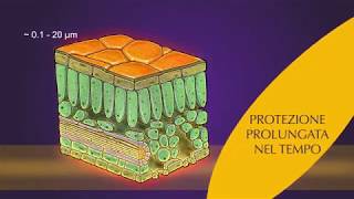 MAINSPRING, la modalità d'azione