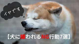 【犬に嫌われるNG行動7選】愛犬が嫌がる行動とそれを避ける方法