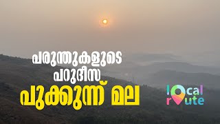 അറബിക്കടലും പശ്ചിമഘട്ടവും 162 ഇനം പക്ഷികളെയും കാണാം; പുക്കുന്ന് മല | Local Route | mathrubhumi.com