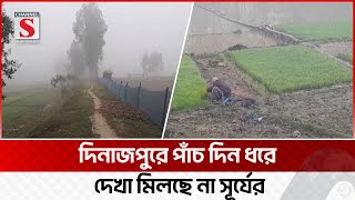 পাঁচ দিন ধরে দিনাজপুরে দেখা মিলছে না সূর্যের | Dinajpur Winter | Channel S News Today