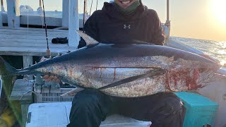 和歌山　ビンチョウマグロ30kg