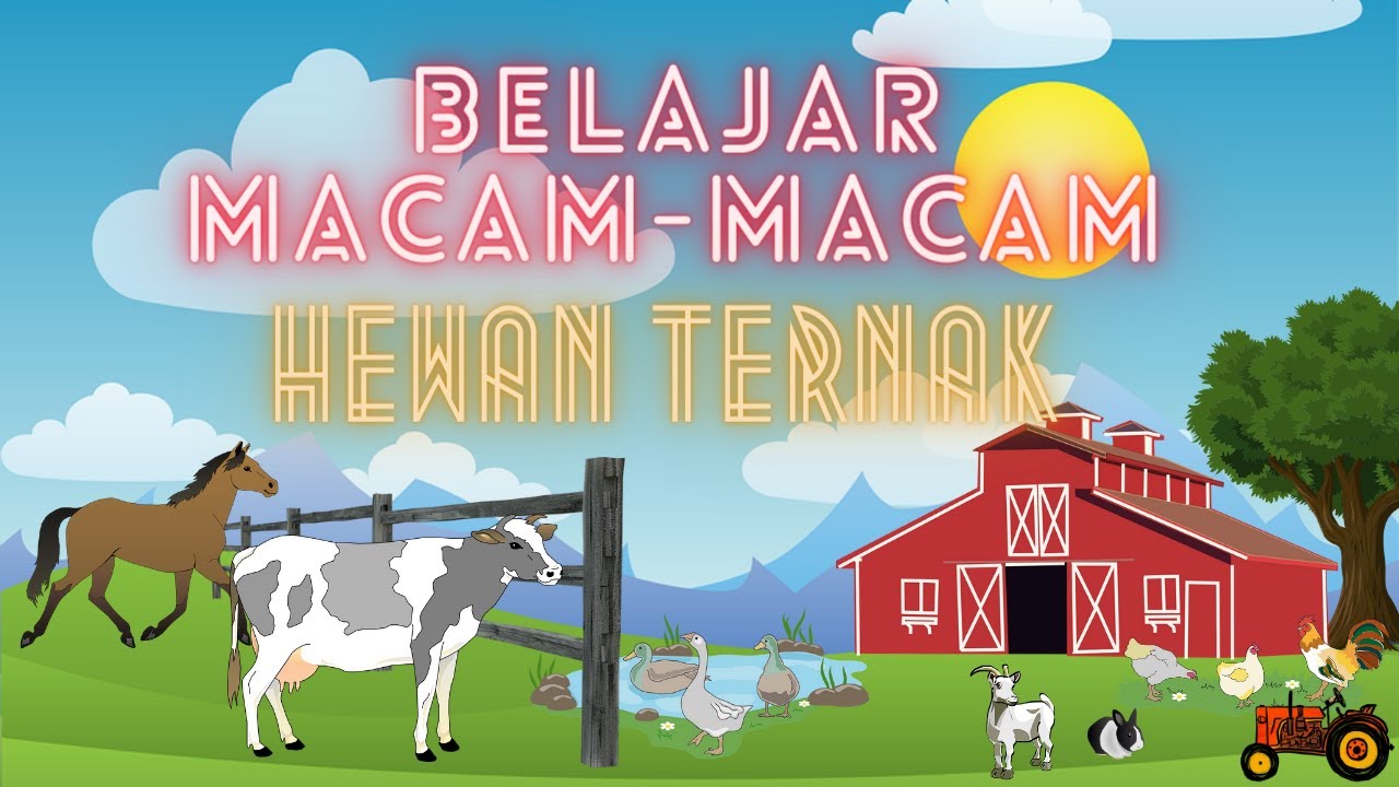 Belajar Macam-Macam Hewan Ternak - YouTube