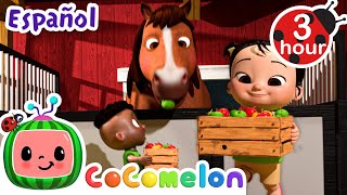 ¡Contemos manzanas! ¡Vamos! | CoComelon y los animales 🍉| Dibujos animados para niños