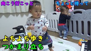 【成長目安】生後1歳0ヶ月！よちよち歩き・つかまり立ち・ハイハイ男女双子赤ちゃんTwins toddle and am caught and stand and crawl on all fours