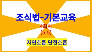 기본과정 조식법 4회차-(5 - 5)