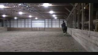 Merlin Schooling Session 10 09