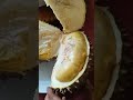 WOWW SUPER YELLOW DURIAN #buynow #letseat#malagkit