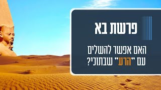 איך מכילים מציאות הפוכה?🙃  | פרשת בא