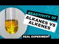 Chemical reactivity of alkanes vs alkenes video