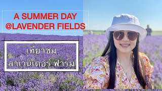 เที่ยวทุ่งลาเวนเดอร์  A summer day @ Lavender Fields. | AWAYWITHNOI